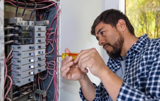 Best Electric Panel Repair  in Crenshaw, MS